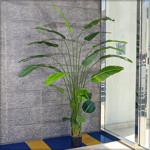 Faux Banana Plant