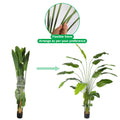 Artificial banana tree 240cm for home and office décor