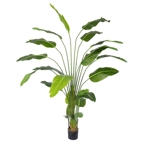 Nearly natural banana plant 240cm tall for modern interiors