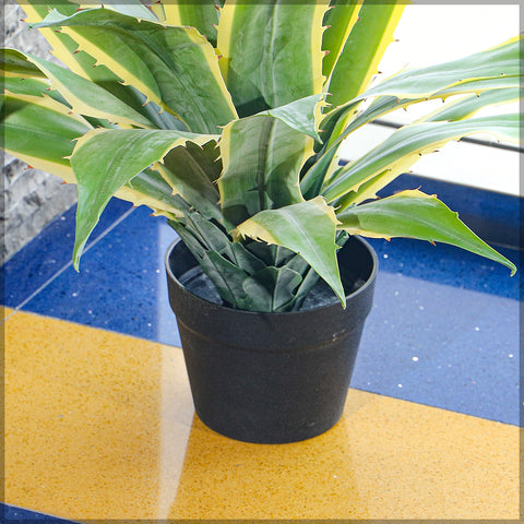 Low Maintenance Artificial Century Plant