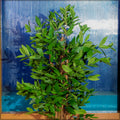 Nearly natural 150cm artificial plant for corner decor