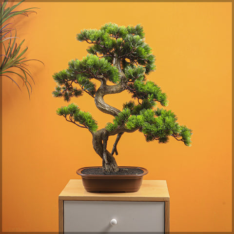 Nearly natural bonsai tree in pot for elegant spaces