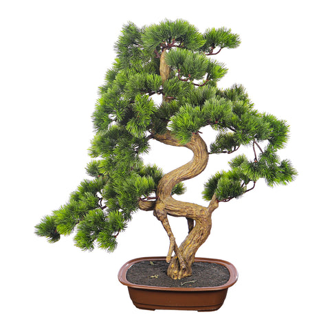 Nearly natural potted bonsai plant for home decor