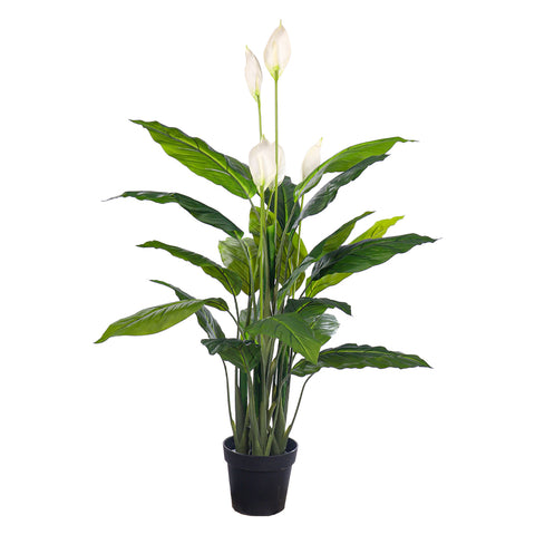 Nearly natural white calla lily plant with realistic blooms