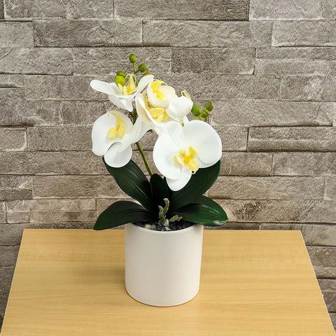 Potted Orchid Flower Arrangement