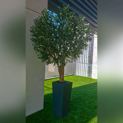 Green wall arrangements + Cactus Landscape