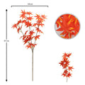 Decorative Canada branches for seasonal wreaths