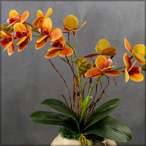 Orchid Flowers Arrangement with Vase-Orange