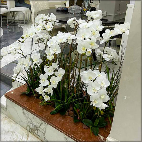 Home Simple Orchid Arrangement