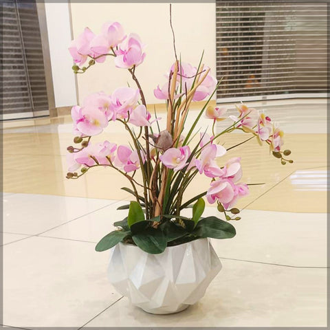 Orchid Flower Arrangements