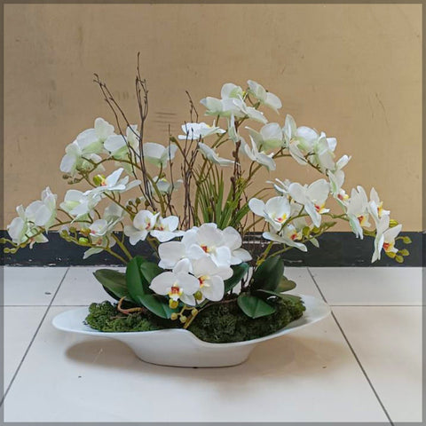 Orchid Flower Arrangements