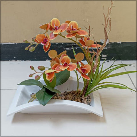 Orchid Flower Arrangements