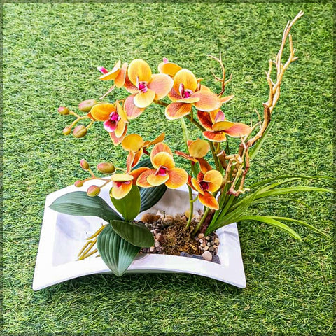 Orchid Flower Arrangements