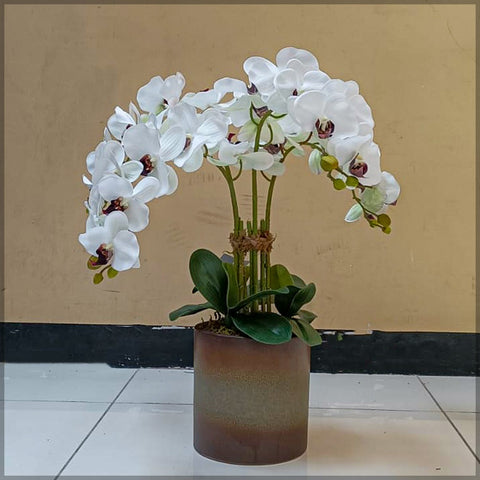 Orchid Flower Arrangements