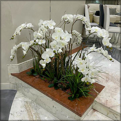 Home Simple Orchid Arrangement