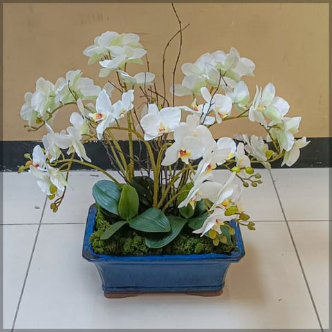 Orchid Flower Arrangements