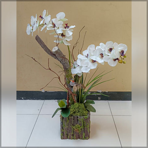 Orchid Flower Arrangements