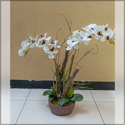 Orchid Flower Arrangements