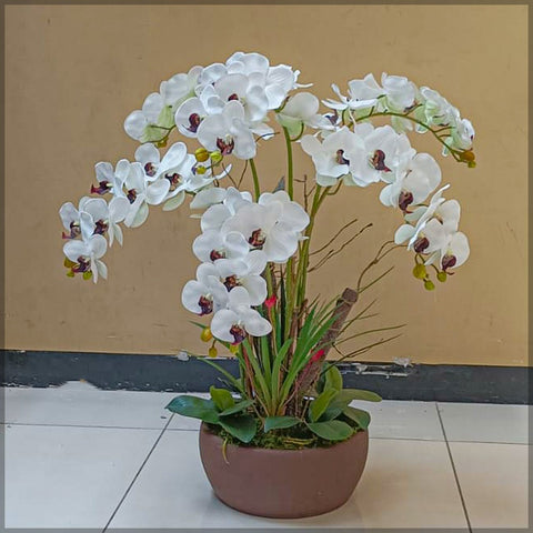 Orchid Flower Arrangements White & Orange