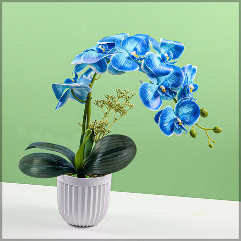 2PCS Artificial Orchid Flowers in Different Colors