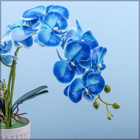 2PCS Artificial Orchid Flowers in Different Colors