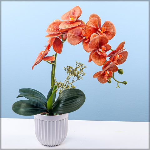 2PCS Artificial Orchid Flowers in Different Colors