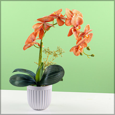 2PCS Artificial Orchid Flowers in Different Colors