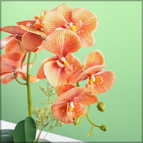 2PCS Artificial Orchid Flowers in Different Colors