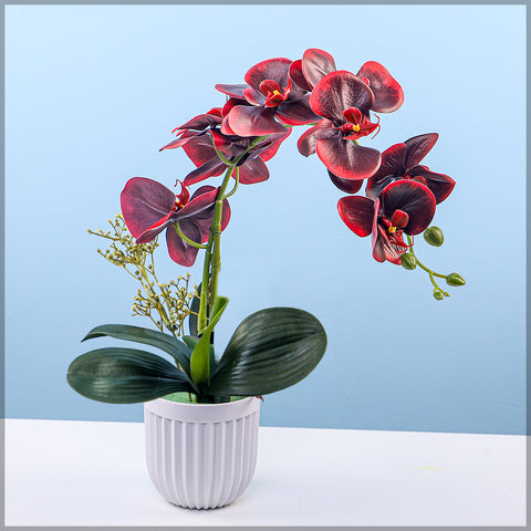 2PCS Artificial Orchid Flowers in Different Colors