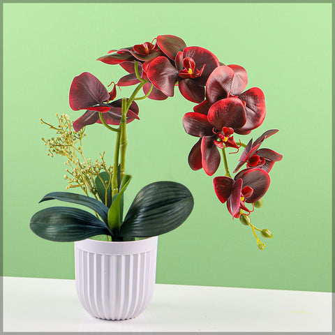 2PCS Artificial Orchid Flowers in Different Colors