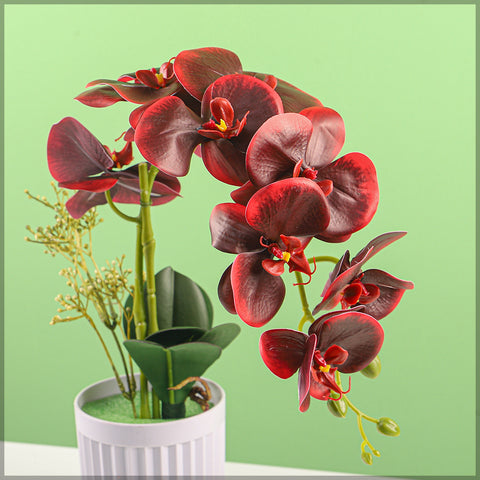 2PCS Artificial Orchid Flowers in Different Colors