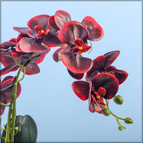 2PCS Artificial Orchid Flowers in Different Colors