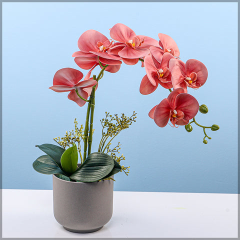 2PCS Artificial Orchid Flowers in Different Colors