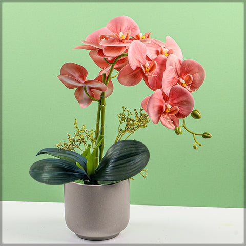 2PCS Artificial Orchid Flowers in Different Colors