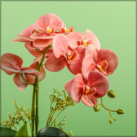 2PCS Artificial Orchid Flowers in Different Colors