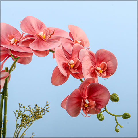 2PCS Artificial Orchid Flowers in Different Colors