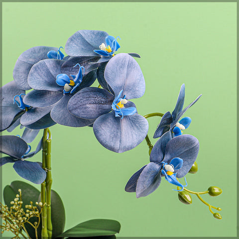 2PCS Artificial Orchid Flowers in Different Colors