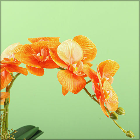 2PCS Artificial Orchid Flowers in Different Colors