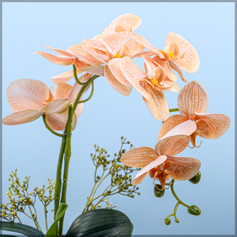 2PCS Artificial Orchid Flowers in Different Colors