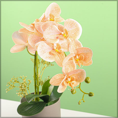 2PCS Artificial Orchid Flowers in Different Colors