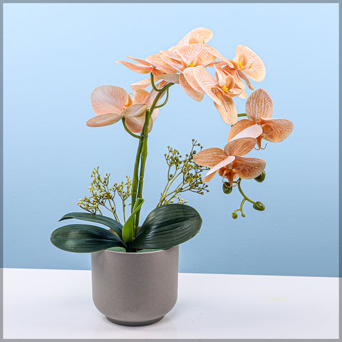 2PCS Artificial Orchid Flowers in Different Colors