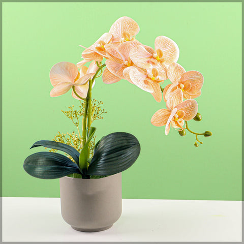 2PCS Artificial Orchid Flowers in Different Colors