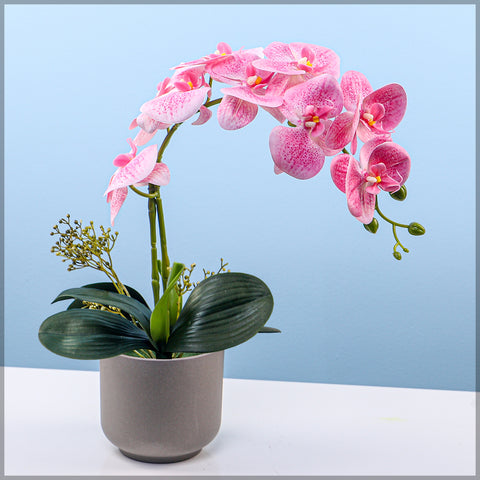 2PCS Artificial Orchid Flowers in Different Colors