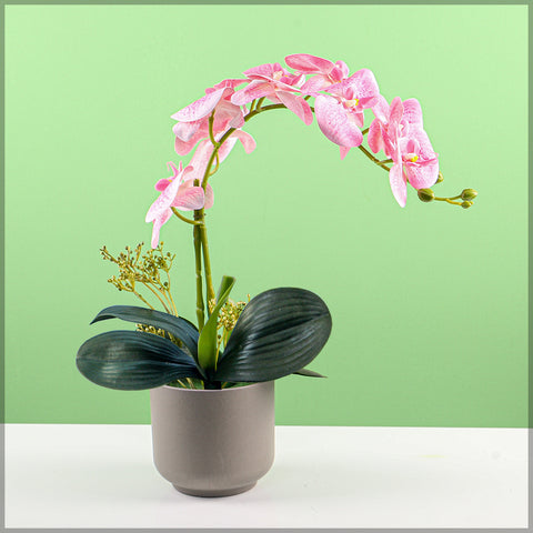 2PCS Artificial Orchid Flowers in Different Colors