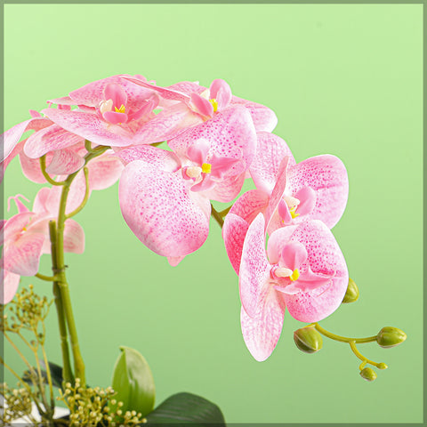 2PCS Artificial Orchid Flowers in Different Colors