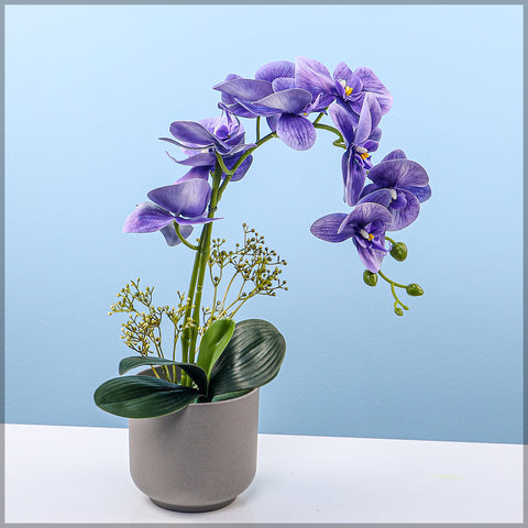 2PCS Artificial Orchid Flowers in Different Colors