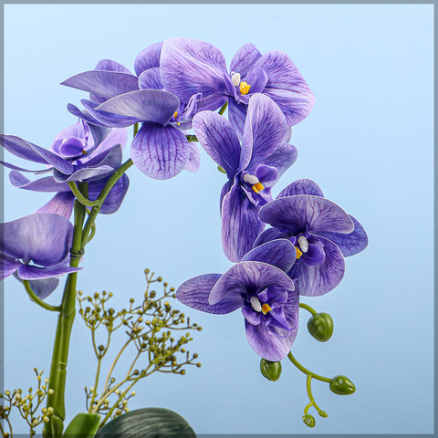 2PCS Artificial Orchid Flowers in Different Colors