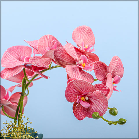 2PCS Artificial Orchid Flowers in Different Colors