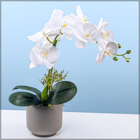 2PCS Artificial Orchid Flowers in Different Colors