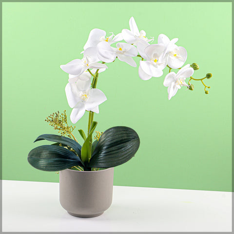 2PCS Artificial Orchid Flowers in Different Colors